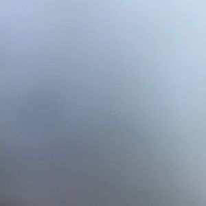 Meet your Posher, Ella